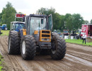 ane 2024