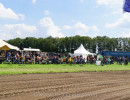 ane 2024