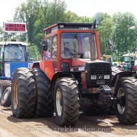 ane 2024