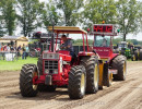 ane 2024