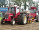 ane 2024