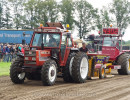 ane 2024