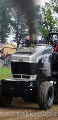 ane 2024