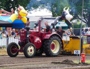 balkbrug 2025