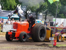 balkbrug 2025