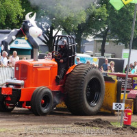 balkbrug 2025