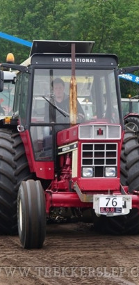 den velde 2019