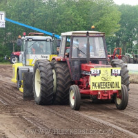 den velde 2019