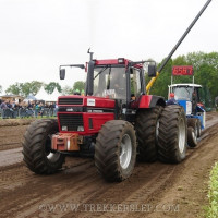 den velde 2019