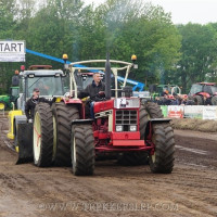den velde 2019