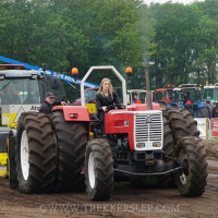 den velde 2019