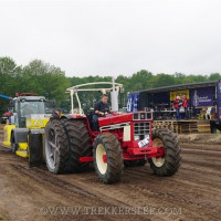 den velde 2019