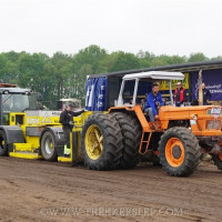 den velde 2019