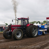 den velde 2019