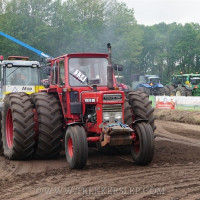 den velde 2019