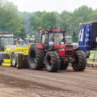 den velde 2019