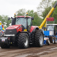 den velde 2019