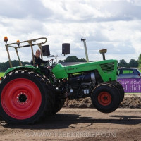den velde 2022