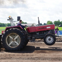 den velde 2022