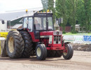 den velde 2022