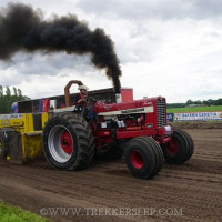 den velde 2022