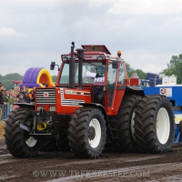 den velde 2022