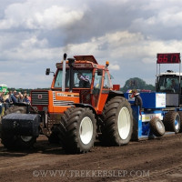 den velde 2022