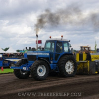 den velde 2022