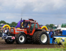 den velde 2022