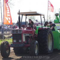 marle 2019