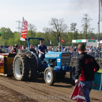 marle 2019