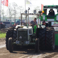marle 2019