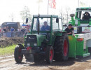 marle 2019