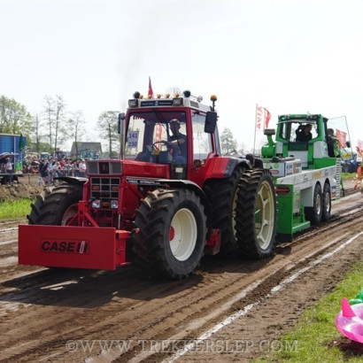 marle 2019