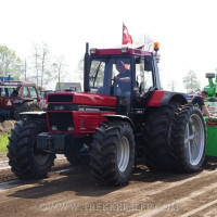 marle 2019