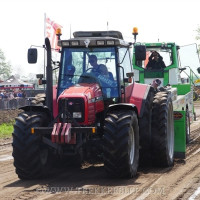 marle 2019