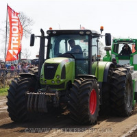 marle 2019