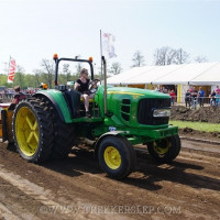 marle 2019