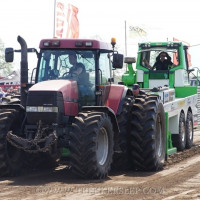 marle 2019