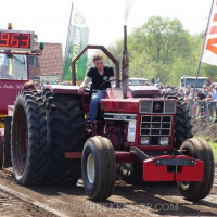 marle 2019
