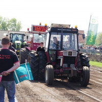 marle 2019