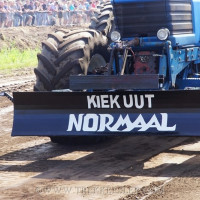 marle 2019