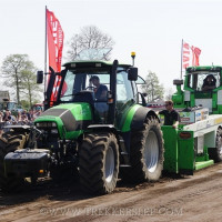 marle 2019