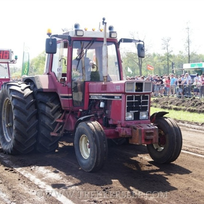 marle 2019