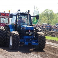 marle 2019