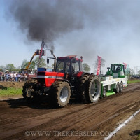 marle 2019