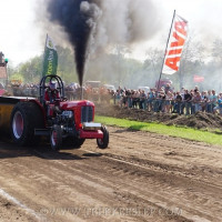 marle 2019