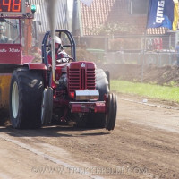 marle 2019