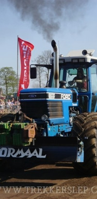 marle 2019
