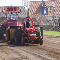 marle 2019